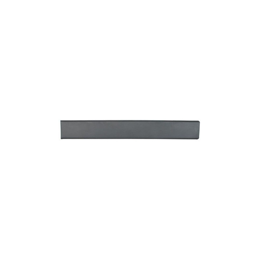 Compra MOLDURA PANEL LATERAL DERECHO(MEDIO) FIAT FIAT DUCATO/BOXER/JUMPER 2006.04- al mejor precio en todocarrocería.com