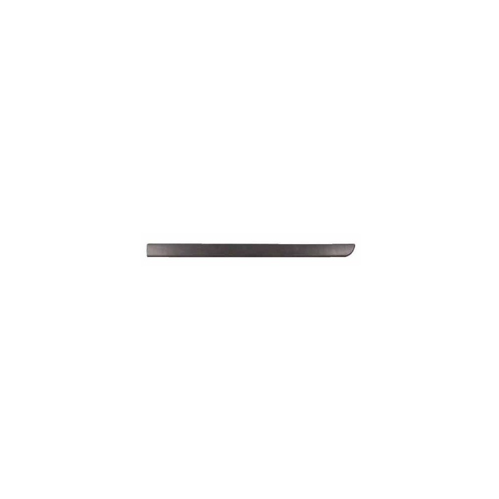 Compra MOLDURA PUERTA DELANTERO DERECHO NEGRO S/FURO EMBLEMA 4/5 PUERTAS RENAULT RENAULT MEGANE II 2006.02- al mejor precio en t