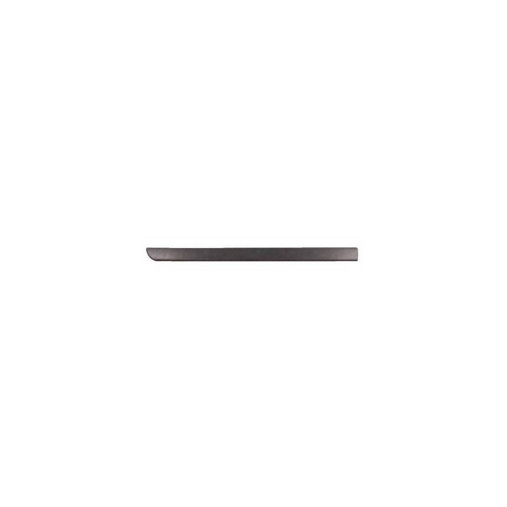 Achetez MOULURE DE PORTE AVANT GAUCHE NOIRE S/LOGO 4/5 PORTES RENAULT RENAULT MEGANE II 2006.02- au meilleur prix sur