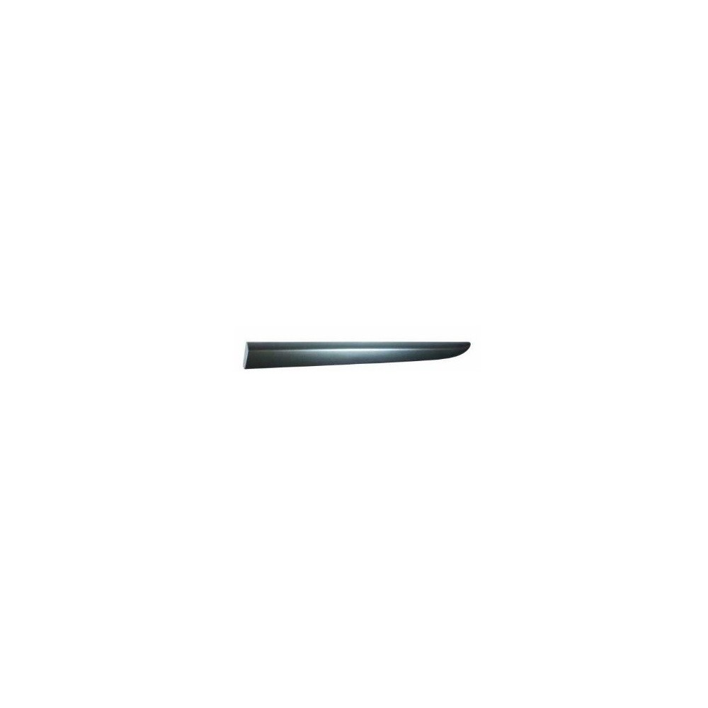 Achetez MOULURE DE PORTE ARRIÈRE GAUCHE NOIRE RENAULT RENAULT CLIO III 2005.10- au meilleur prix sur todocarrocería.com