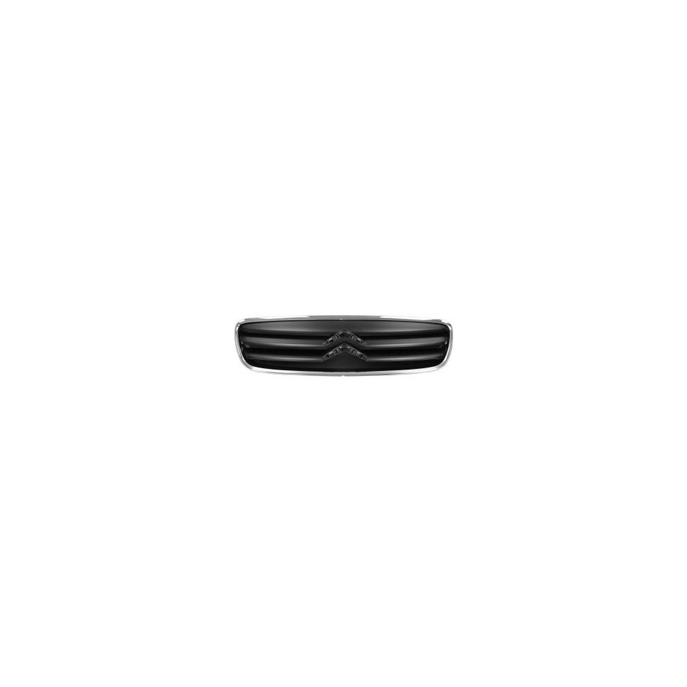Achetez GRILLE CADRE CHROMÉ (DATÉE) CITROËN CITROËN C2 08- au meilleur prix sur todocarrocería.com