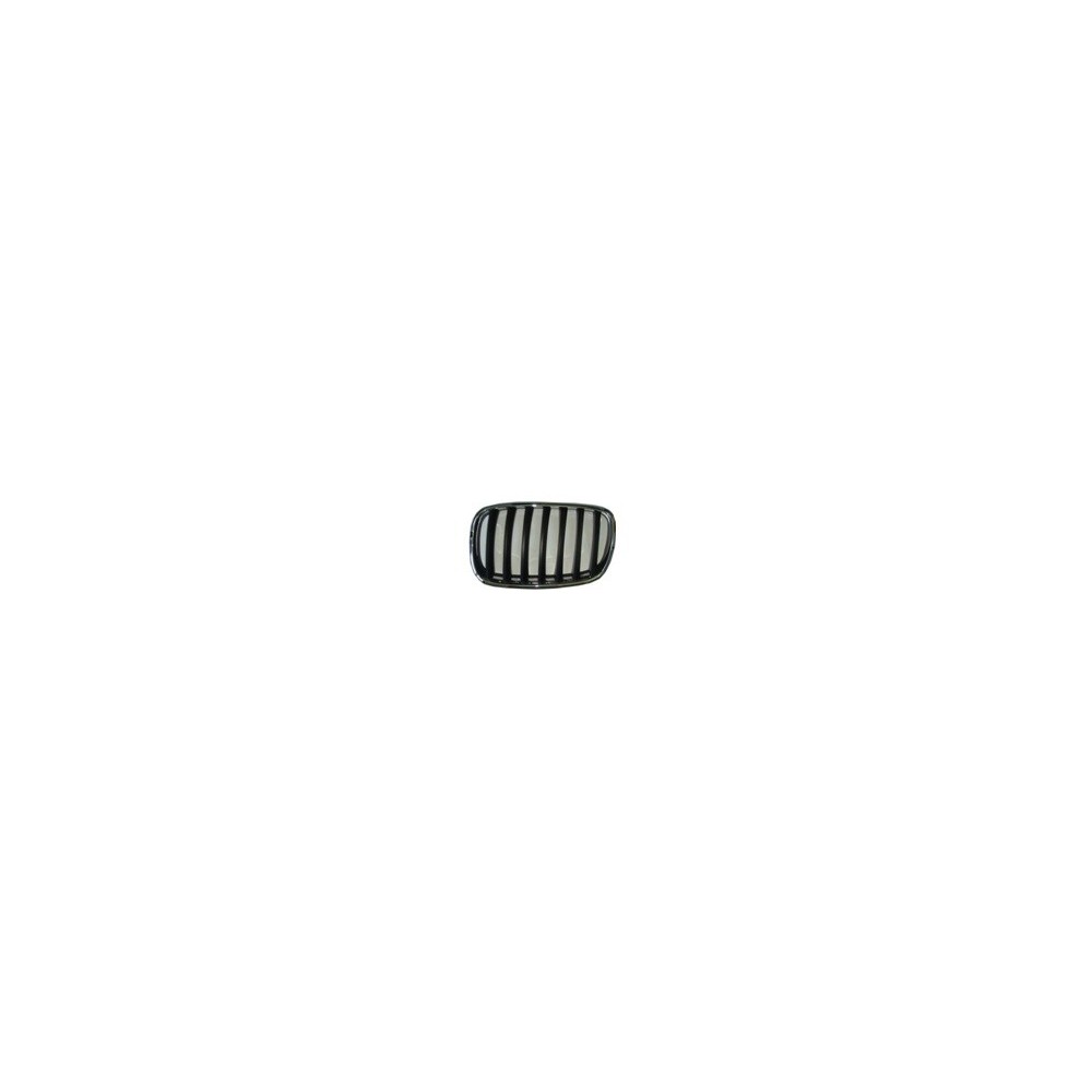 Achetez GRILLE GAUCHE (CHROMÉE/NOIRE) BMW BMW X5 E70 07- au meilleur prix sur todocarrocería.com