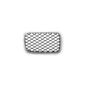 Achetez GRILLE GAUCHE (TUNING) BMW BMW E36 91- au meilleur prix sur todocarrocería.com