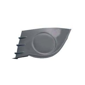 Achetez GRILLE GAUCHE PARE-CHOCS AVANT (S/ TROUS POUR PHARES) RENAULT CLIO 05- au meilleur prix sur todocarrocería.com