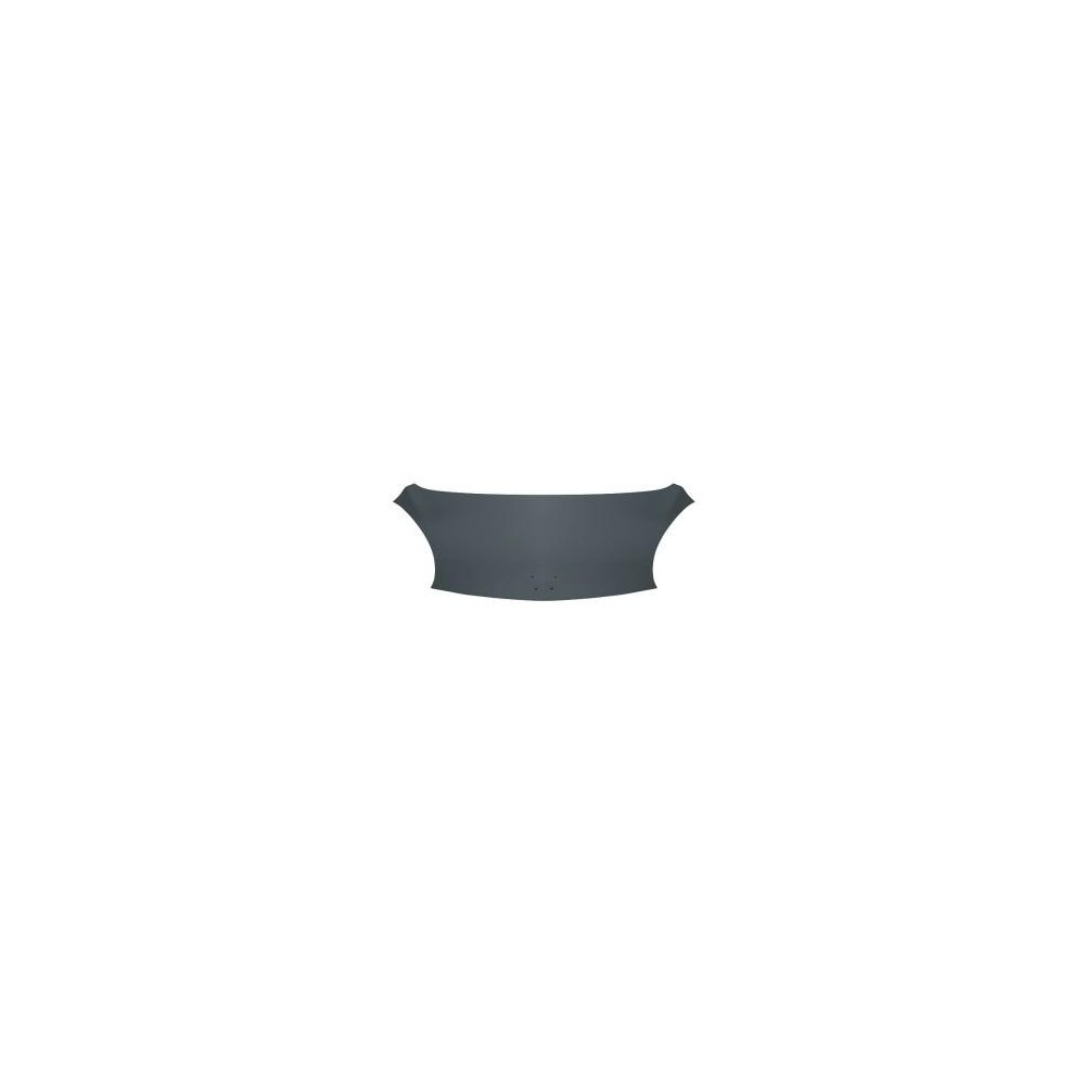 Compra CAPOT CITROEN CITROEN C1 05- al mejor precio en todocarrocería.com