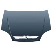 Compra CAPOT CITROEN CITROEN SAXO 99- al mejor precio en todocarrocería.com