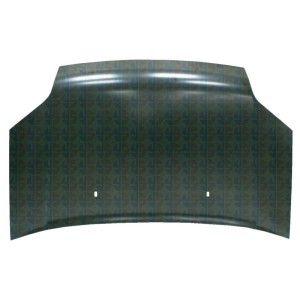 Compra CAPOT FORD FORD TRANSIT CONNECT 06- al mejor precio en todocarrocería.com