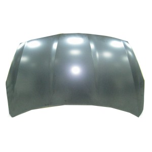 Achetez CAPOT HYUNDAI HYUNDAI I20 09- au meilleur prix sur todocarrocería.com.