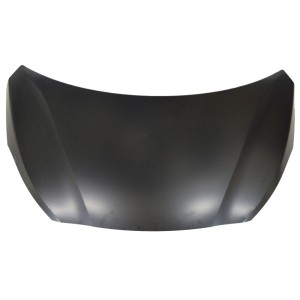 Compra CAPOT HYUNDAI HYUNDAI I20 12- al mejor precio en todocarrocería.com