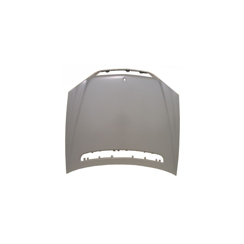 Compra CAPOT MERCEDES MERCEDES S W220 98-01 al mejor precio en todocarrocería.com