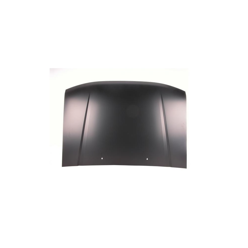 Compra CAPOT NISSAN NISSAN D22 98- al mejor precio en todocarrocería.com