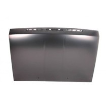 Compra CAPOT NISSAN NISSAN KING CAB 87- al mejor precio en todocarrocería.com
