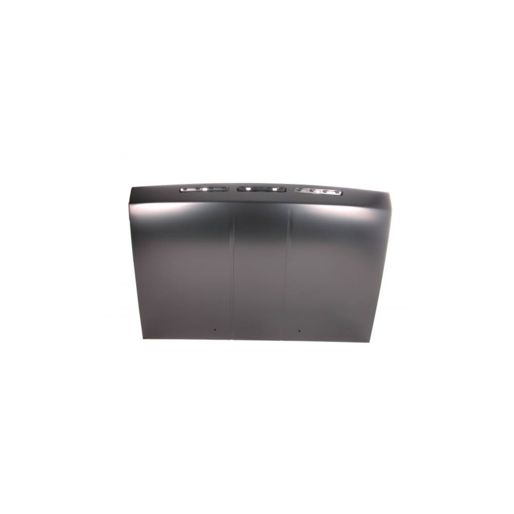 Compra CAPOT NISSAN NISSAN KING CAB 87- al mejor precio en todocarrocería.com