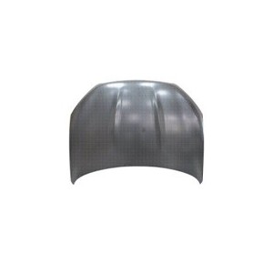 Compra CAPOT NISSAN NISSAN QASHQAI 10- al mejor precio en todocarrocería.com