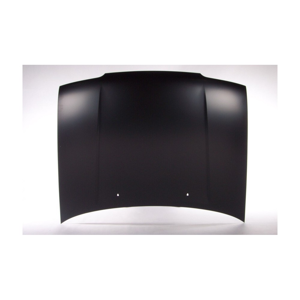 Compra CAPOT NISSAN NISSAN N14 91- al mejor precio en todocarrocería.com