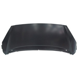 Compra CAPOT PEUGEOT PEUGEOT 1007 04- al mejor precio en todocarrocería.com