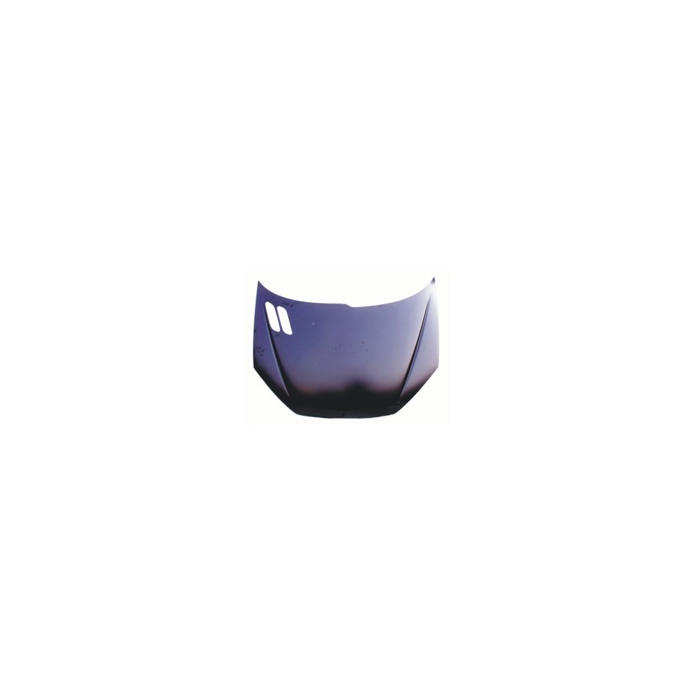 Compra CAPOT PEUGEOT PEUGEOT 206 98- al mejor precio en todocarrocería.com
