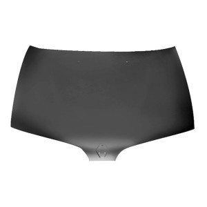 Compra CAPOT RENAULT RENAULT MEGANE 96- al mejor precio en todocarrocería.com