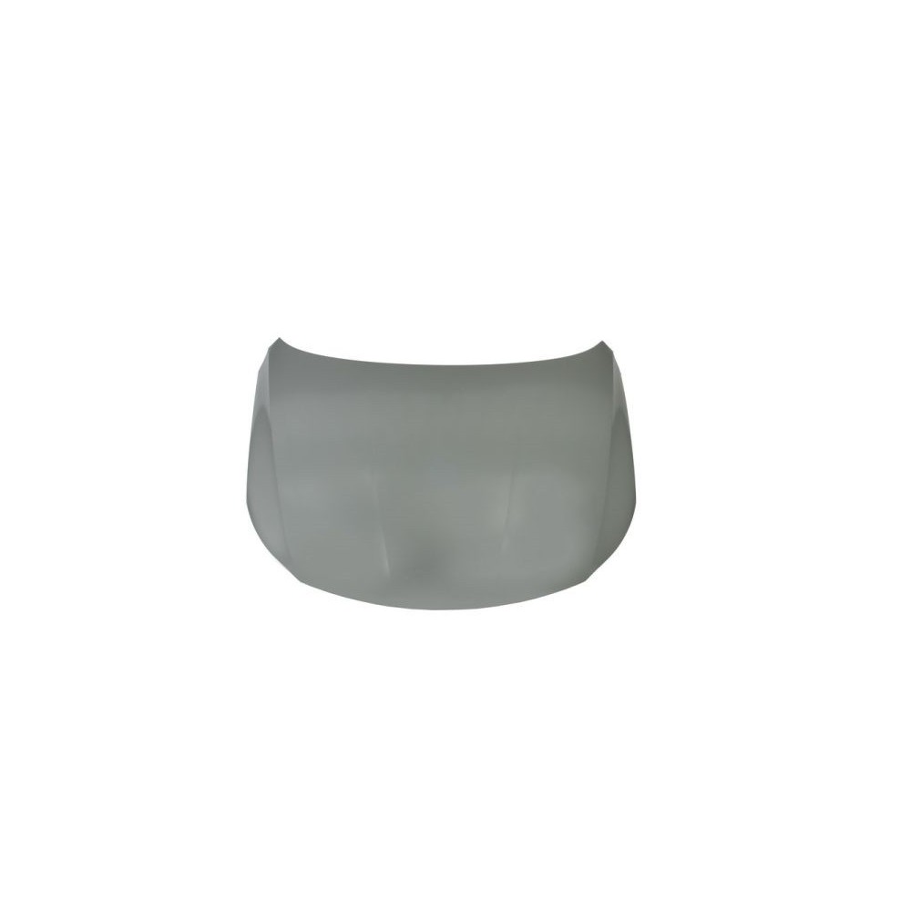 Compra CAPOT VW VW PASSAT CC 08-11 al mejor precio en todocarrocería.com