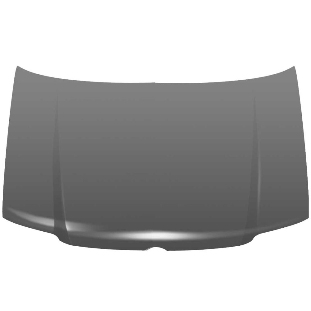Achetez CAPOT VW VW POLO 99- au meilleur prix sur todocarrocería.com
