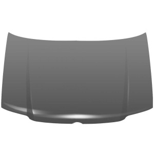 Achetez CAPOT VW VW POLO 99- au meilleur prix sur todocarrocería.com