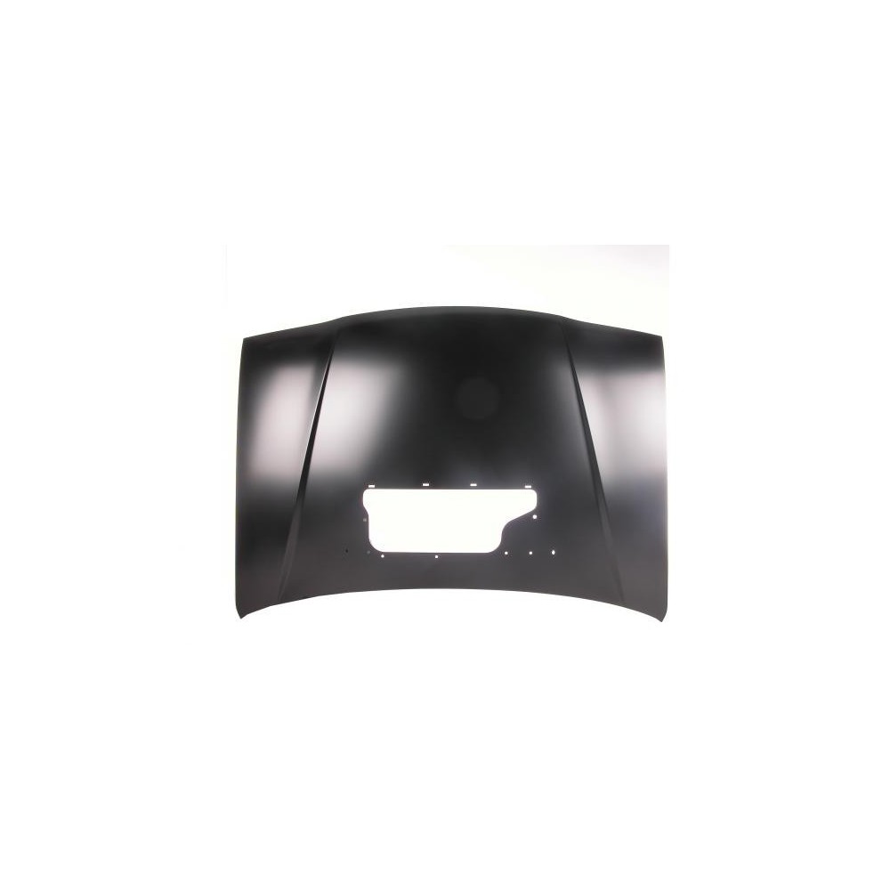 Achetez CAPOT (AVEC VENTILATION) SUZUKI SUZUKI VITARA 99- au meilleur prix sur todocarrocería.com.