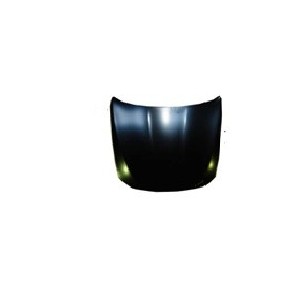 Achetez CAPOT (TÔLE) BMW BMW S/5 F10 10- au meilleur prix sur todocarrocería.com