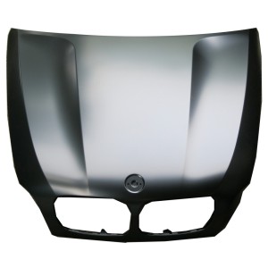 Compra CAPOT (CHAPA) BMW BMW X5 E70 07-/X6 08- al mejor precio en todocarrocería.com