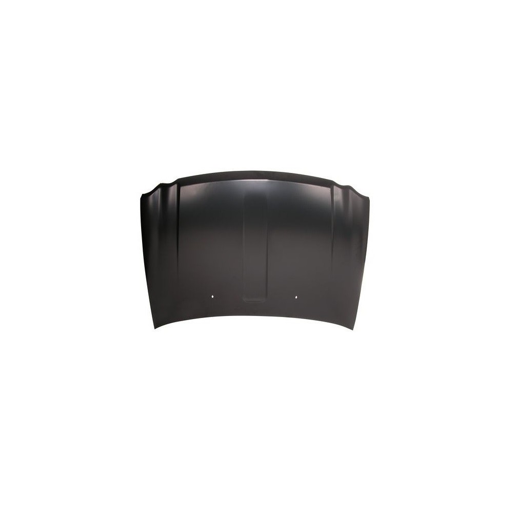 Compra CAPOT (CHAPA) JEEP JEEP GRAND CHEROKEE 05- al mejor precio en todocarrocería.com