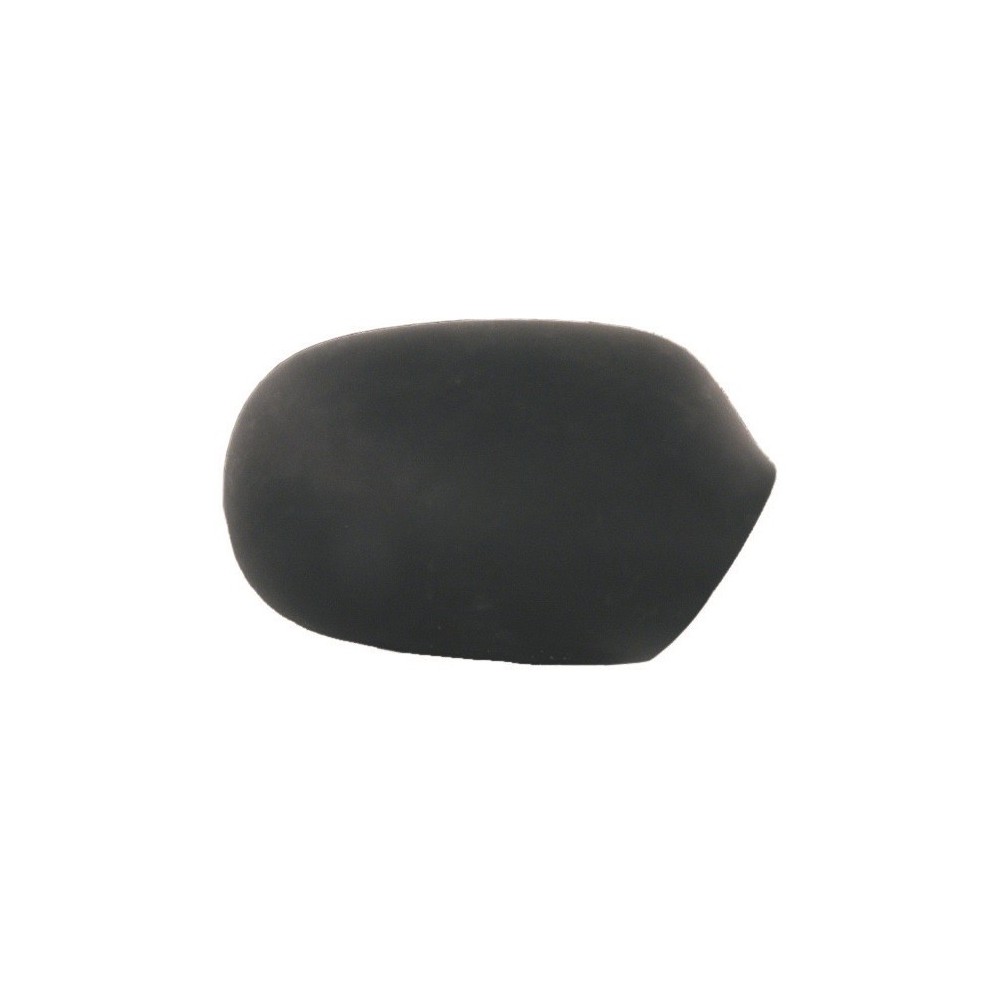 Compra CARCASA DE RETROVISOR DERECHO NEGRO RENAULT RENAULT MEGANE/SCE 96- al mejor precio en todocarrocería.com