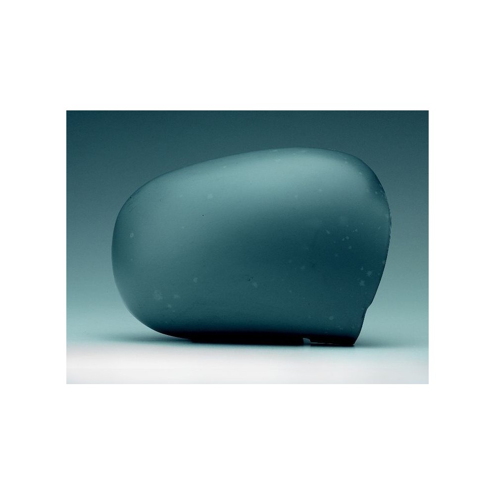 Compra CARCASA DE RETROVISOR DERECHO P/P RENAULT RENAULT CLIO 98- al mejor precio en todocarrocería.com
