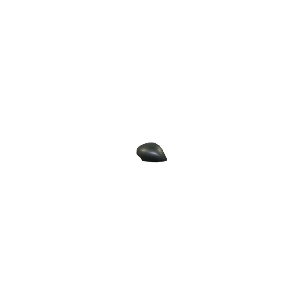Achetez COQUE DE RÉTROVISEUR DROIT P/P RENAULT RENAULT SCENIC 09- au meilleur prix sur todocarrocería.com