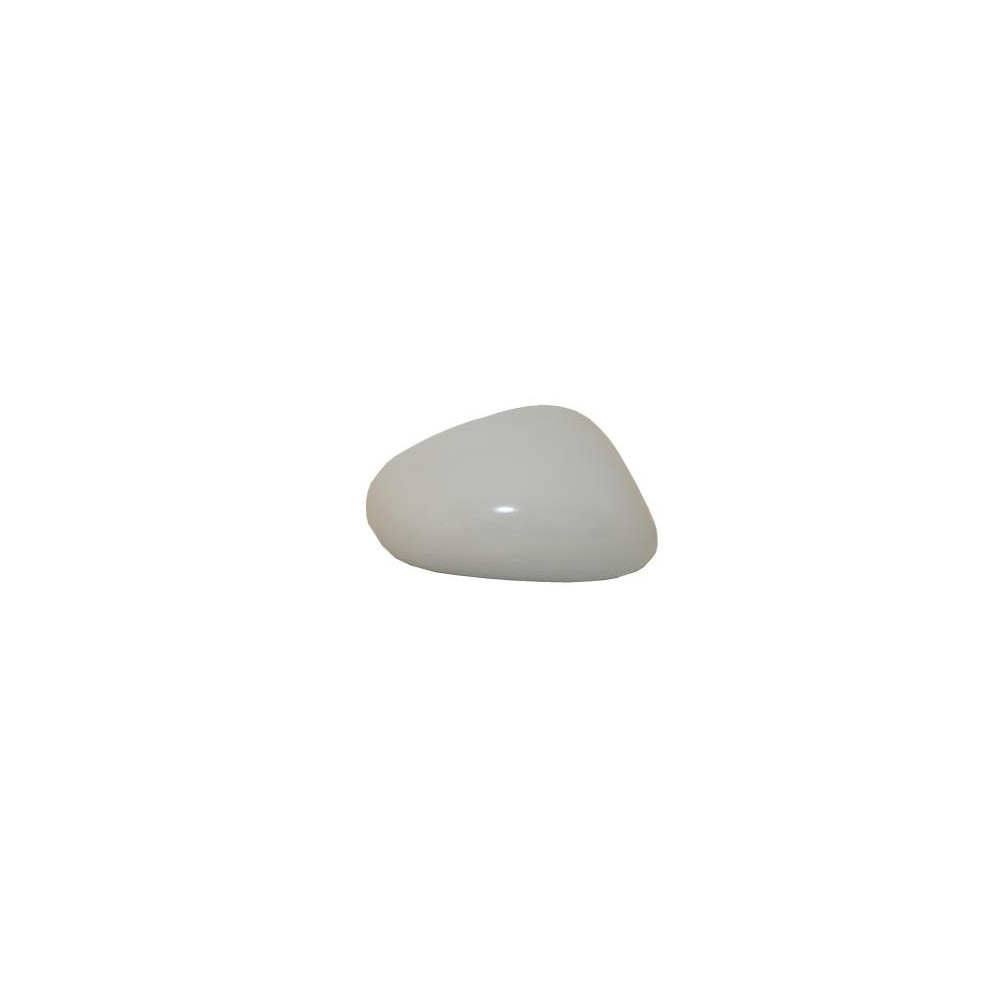 Compra CARCASA DE RETROVISOR DERECHO P/P SEAT SEAT LEON 05- al mejor precio en todocarrocería.com
