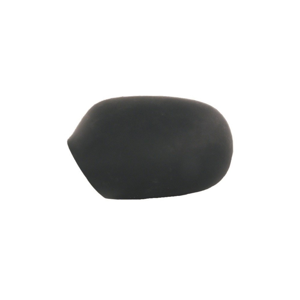 Achetez COQUE DE RÉTROVISEUR GAUCHE NOIRE RENAULT RENAULT MEGANE/SCE 96- au meilleur prix sur todocarrocería.com.