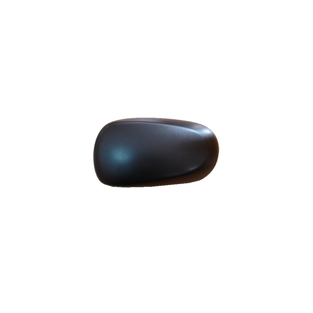 Compra CARCASA DE RETROVISOR IZQUIERDO NEGRO RENAULT RENAULT MODUS 04- al mejor precio en todocarrocería.com