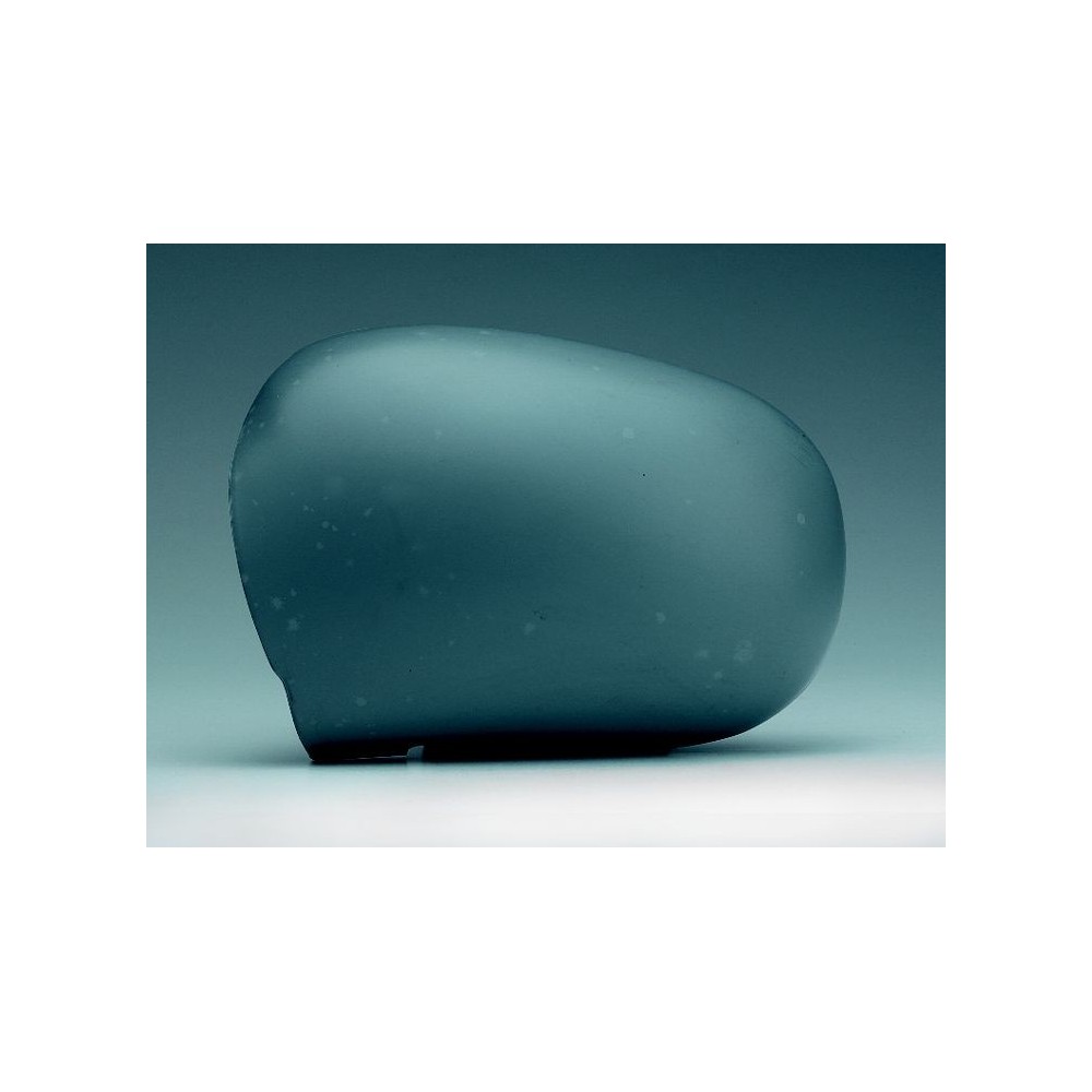 Achetez COQUE DE RÉTROVISEUR GAUCHE P/P RENAULT RENAULT CLIO 98- au meilleur prix sur todocarrocería.com
