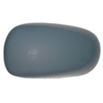 Compra CARCASA DE RETROVISOR IZQUIERDO P/P RENAULT RENAULT MODUS 04- al mejor precio en todocarrocería.com