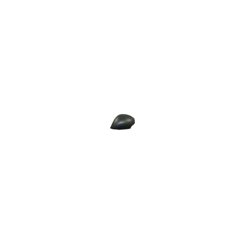 Achetez COQUE DE RÉTROVISEUR GAUCHE P/P RENAULT RENAULT SCENIC 09- au meilleur prix sur todocarrocería.com.