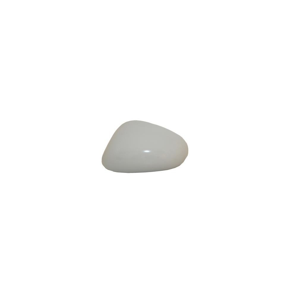 Achetez COQUE DE RÉTROVISEUR GAUCHE P/P SEAT SEAT LEON 05- au meilleur prix sur todocarrocería.com